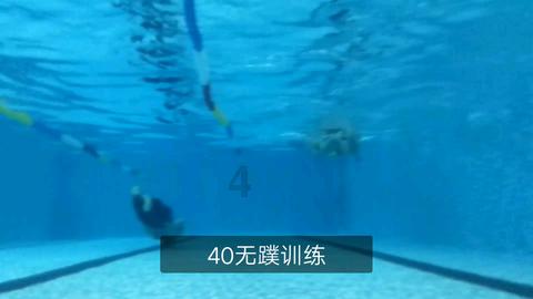 健美大赛